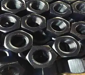 Hex Nuts