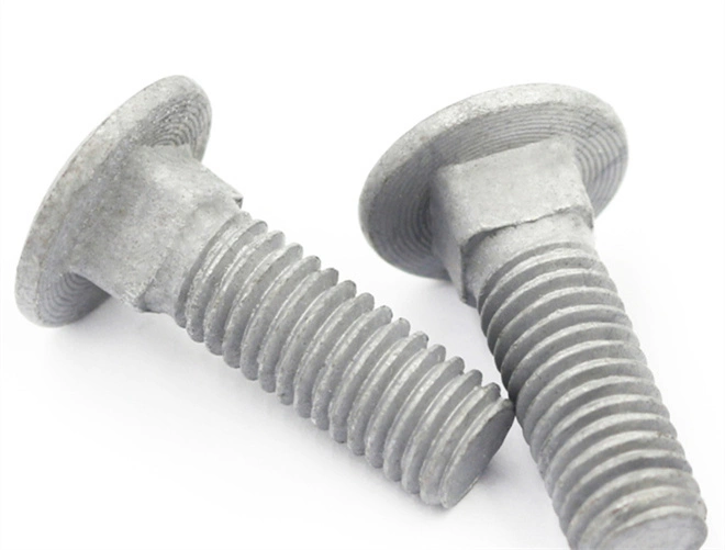 carriage-bolt-suppliers.jpg