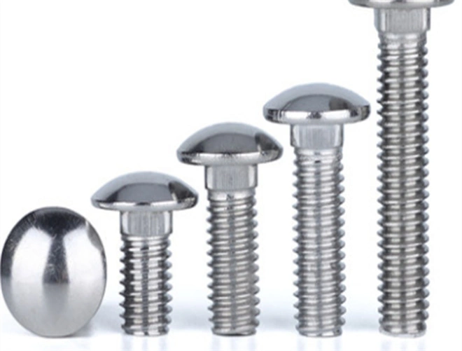 3 16 stainless carriage bolt