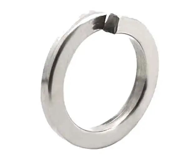 ss spring washer