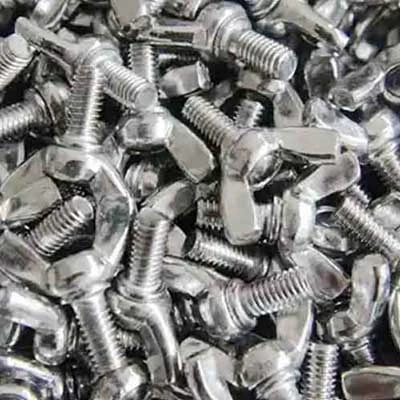 Stainless Steel Butterfly Wing Bolts