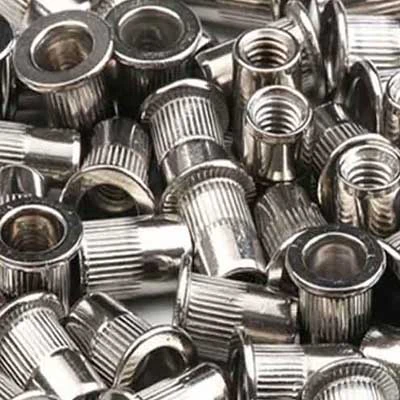 Stainless Steel Rivet Nuts