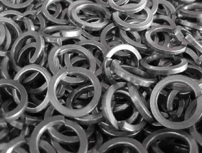 ss spring washer
